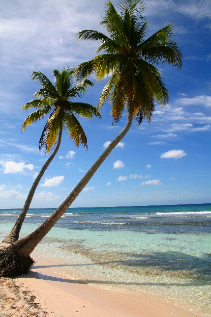 Strand Insel Saona