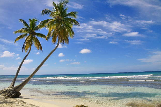 Saona Strand