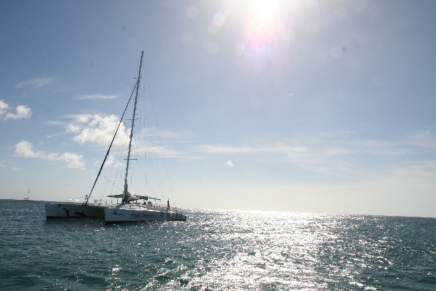 Katamaran bei Saona