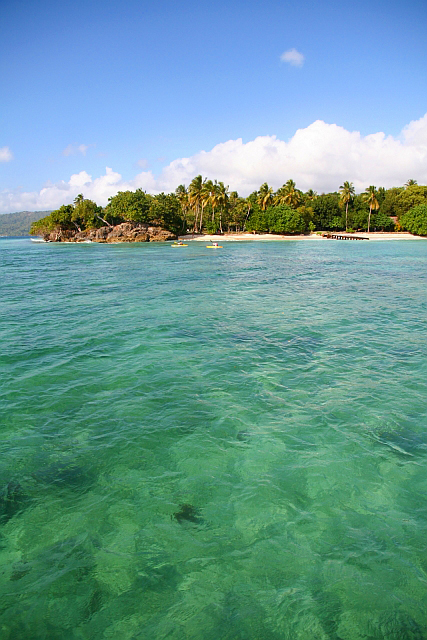 Korallenriff auf Cayo Levantado